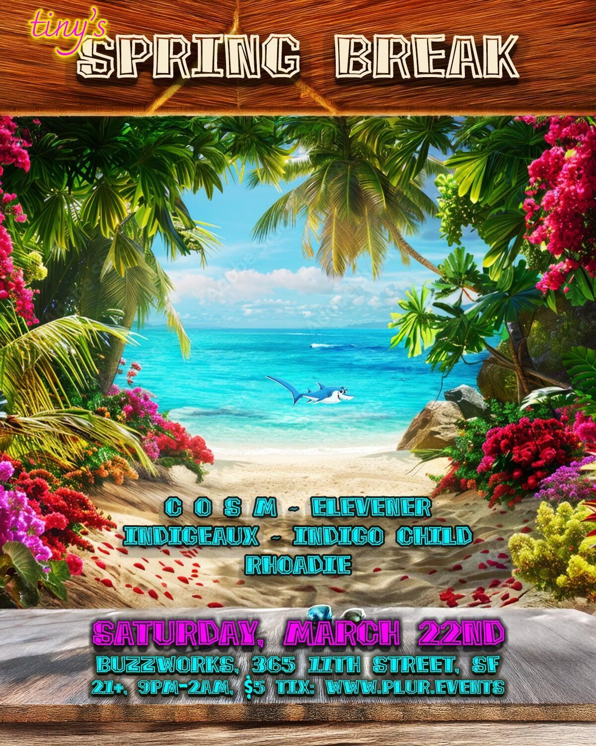 tiny's Spring Break 2025 flyer